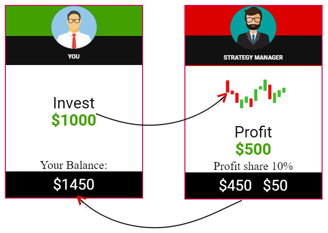 Social Trading Program